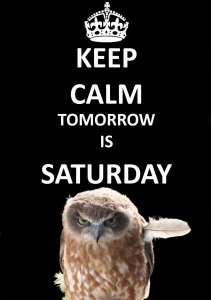 tomorrow