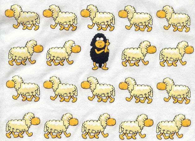 14322725_10210839660613167_1614830627266107943_n